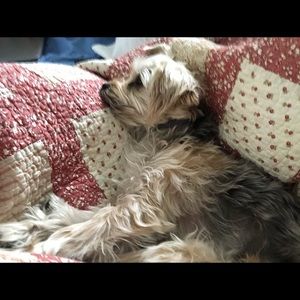 Meet your Posher, Hillary